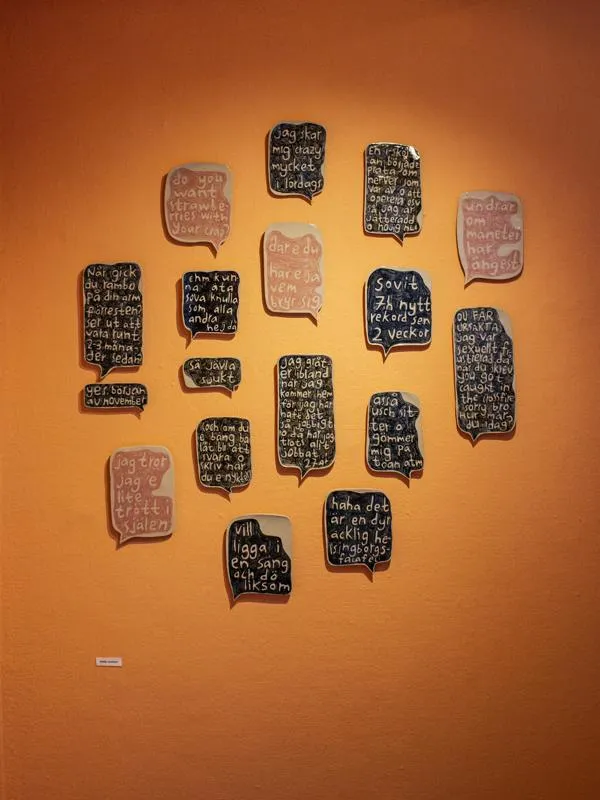 "Ehm, kunna äta sova knulla som alla andra hejdå" 2017