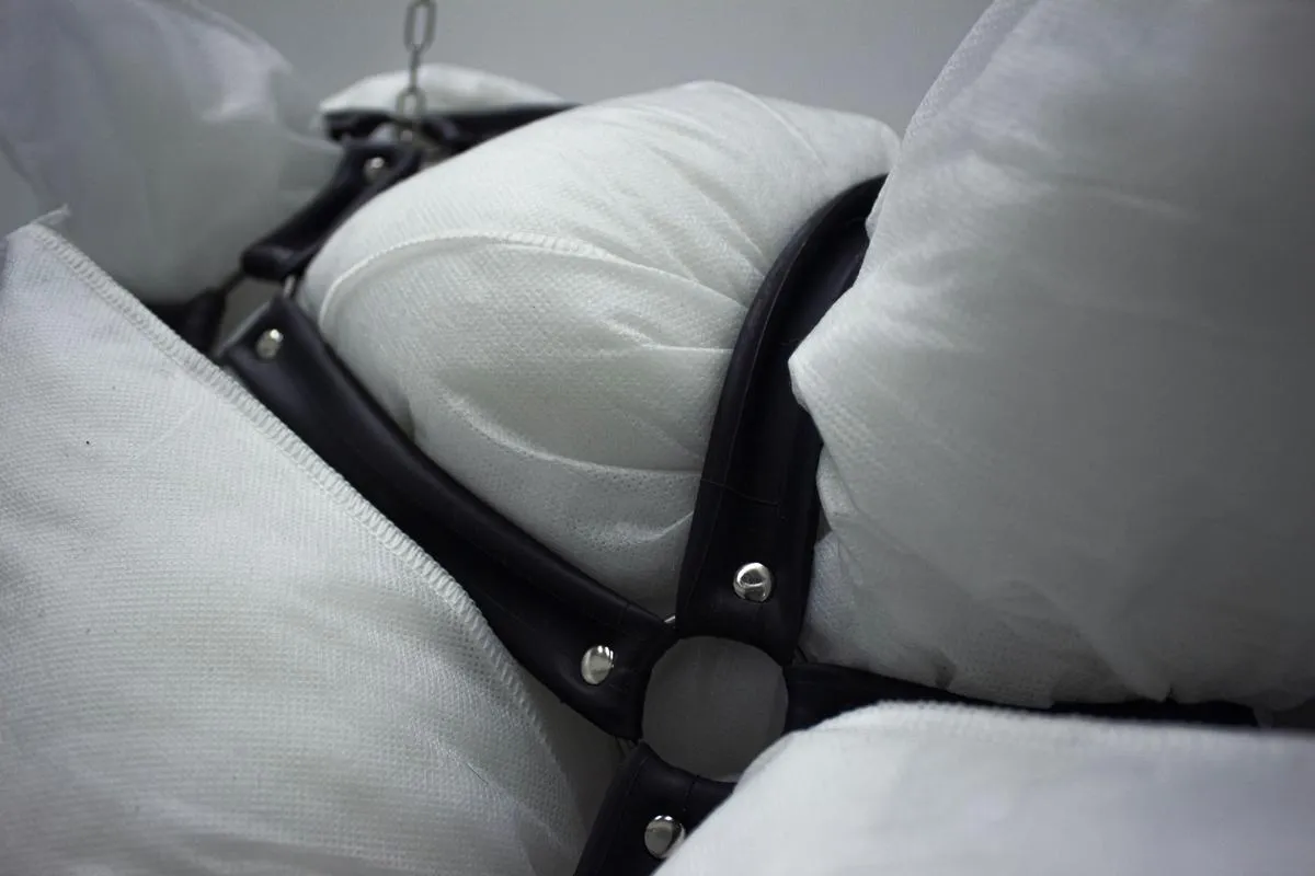 harness kuddar cykelslang