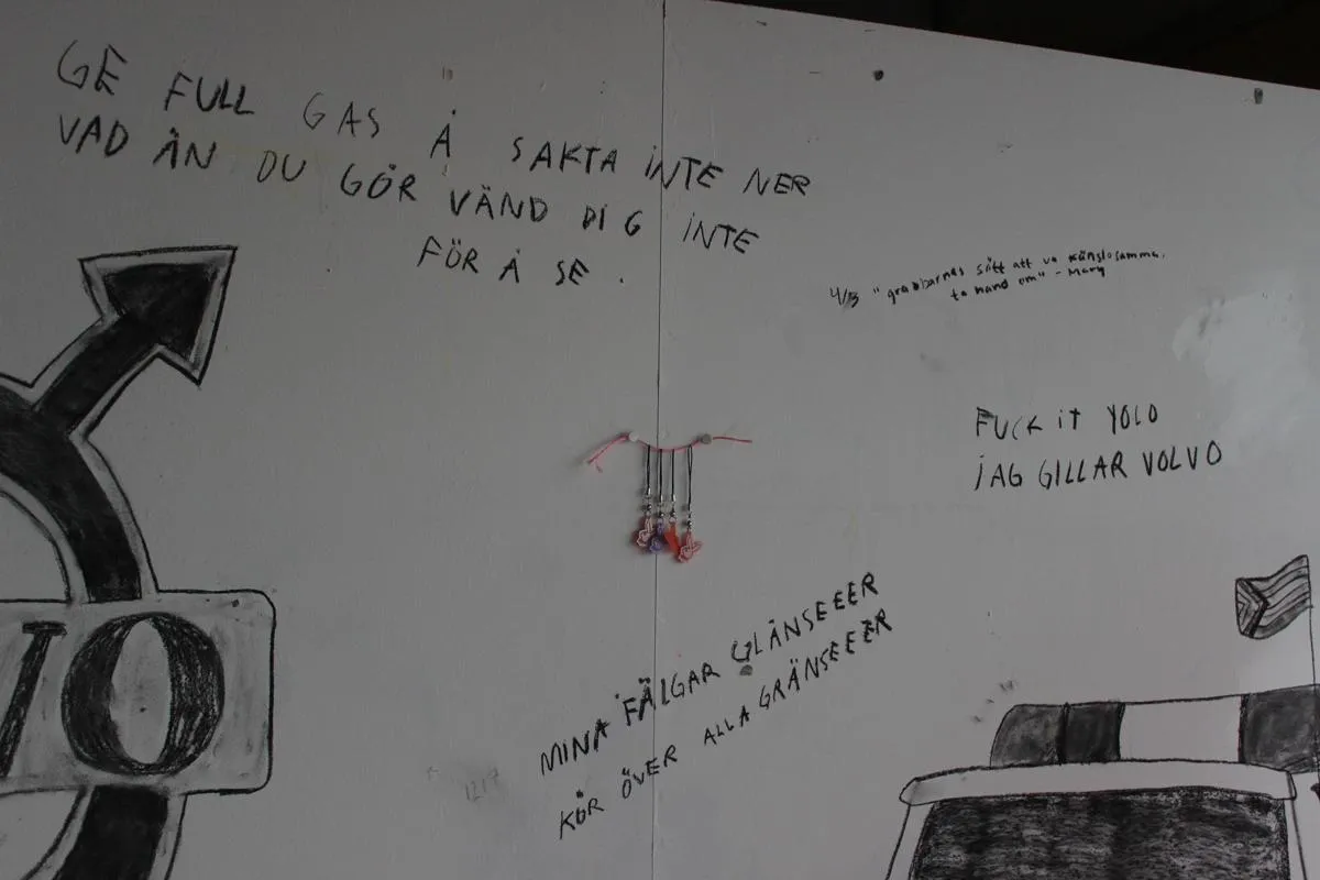 installation rum raggare playboy